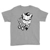 no sympathy for the devil Youth Tee