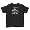 learn polish peace Youth Tee