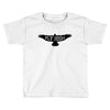 Fly High Toddler T-shirt