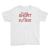 i'm not short i'm elf size Youth Tee