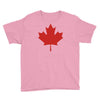 canada international baseball Youth Tee