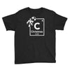 christmas periodic table of elements Youth Tee