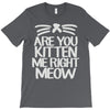 are you kitten me right meow T-Shirt