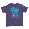 aperture science volunteer Youth Tee