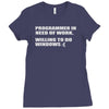 programmer in need of work Ladies Fitted T-Shirt