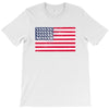t-rex vintage american flag T-Shirt