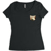 Michaelangelo Creation Of Adam Women's Triblend Scoop T-shirt