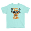 I WAS NORMAL 3 DOGS AGO Youth Tee