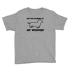 are you looking at my weiner t shirt funny dog wiener dachshund s m l Youth Tee