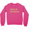 incase of emergency Crewneck Sweatshirt