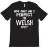 perfect welsh T-Shirt