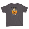 halloween pug Youth Tee