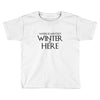 Winter (f80) Toddler T-shirt