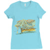 chasing windmills Ladies Fitted T-Shirt