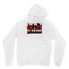 im not insane, ideal birthday gift or present Hoodie
