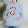 test Unisex Heavy Blend™ Hooded Sweatshirt