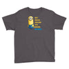 despicable me awesome perfect minio Youth Tee