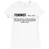 Feminist Noun Ladies Fitted T-Shirt