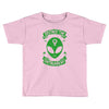 destroy the patriarchy Toddler T-shirt