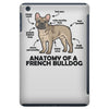anatomy iPad Mini