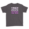 train insane or remain the same Youth Tee