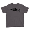 Auntie Shark Youth Tee