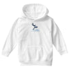 dolphin rider Youth Hoodie