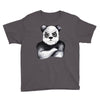 Kung Fu Panda Youth Tee