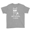 no drama llama Youth Tee