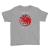 mother of cats Youth Tee