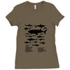shark chart Ladies Fitted T-Shirt