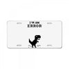 I'm an Error License Plate