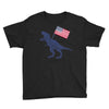 Patriotic T-Rex Youth Tee