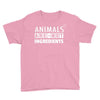 Animals Are Not Ingredients Youth Tee