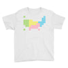 periodic table of america Youth Tee