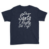 dear santa i really did try Youth Tee