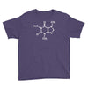 caffeine molecule gamer nerd geek science funny Youth Tee