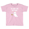 Im Here For The Booz Toddler T-shirt