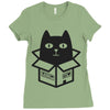 cats love boxes Ladies Fitted T-Shirt