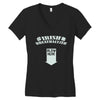 irish beathalyzer Women's V-Neck T-Shirt