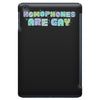 homophones are gay iPad Mini