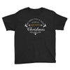 we wish you a very merry christmas Youth Tee