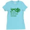 they seem owls Ladies Fitted T-Shirt