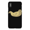 anjing laut iPhoneX