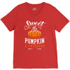 sweet as pumpkin pi V-Neck Tee