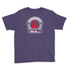 ironman triathlon 70 Youth Tee