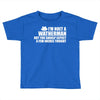 weatherman Toddler T-shirt
