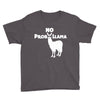 no prob llama funny llama Youth Tee
