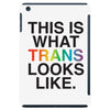 This Is What Trans Looks Like iPad Mini