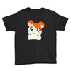 hamtaro Youth Tee